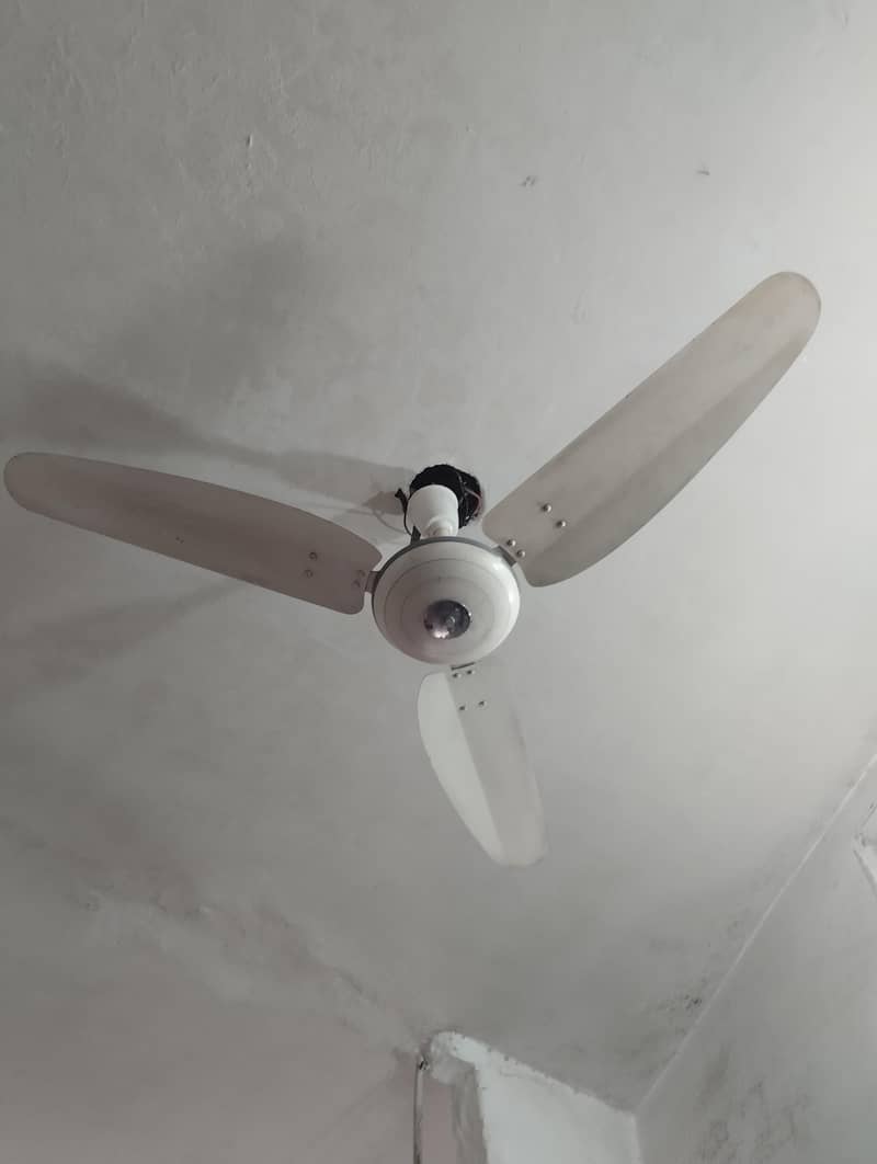 ceiling Fan 2