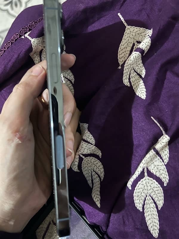 iphone13 pro max 1