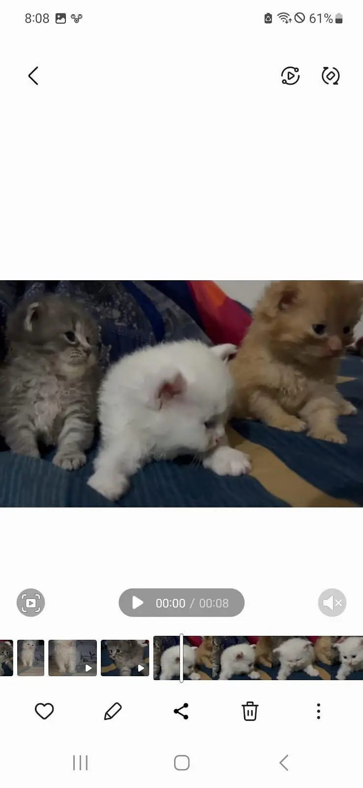 katten — photo 2