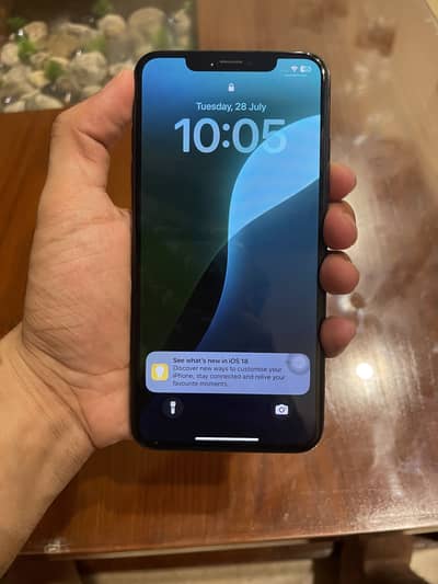 Apple iPhone XS Max | 256 GB | PTA