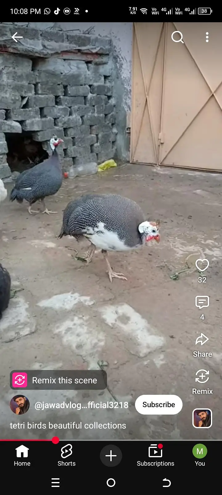 tetriyan for sell 4500 jora hai — photo 3