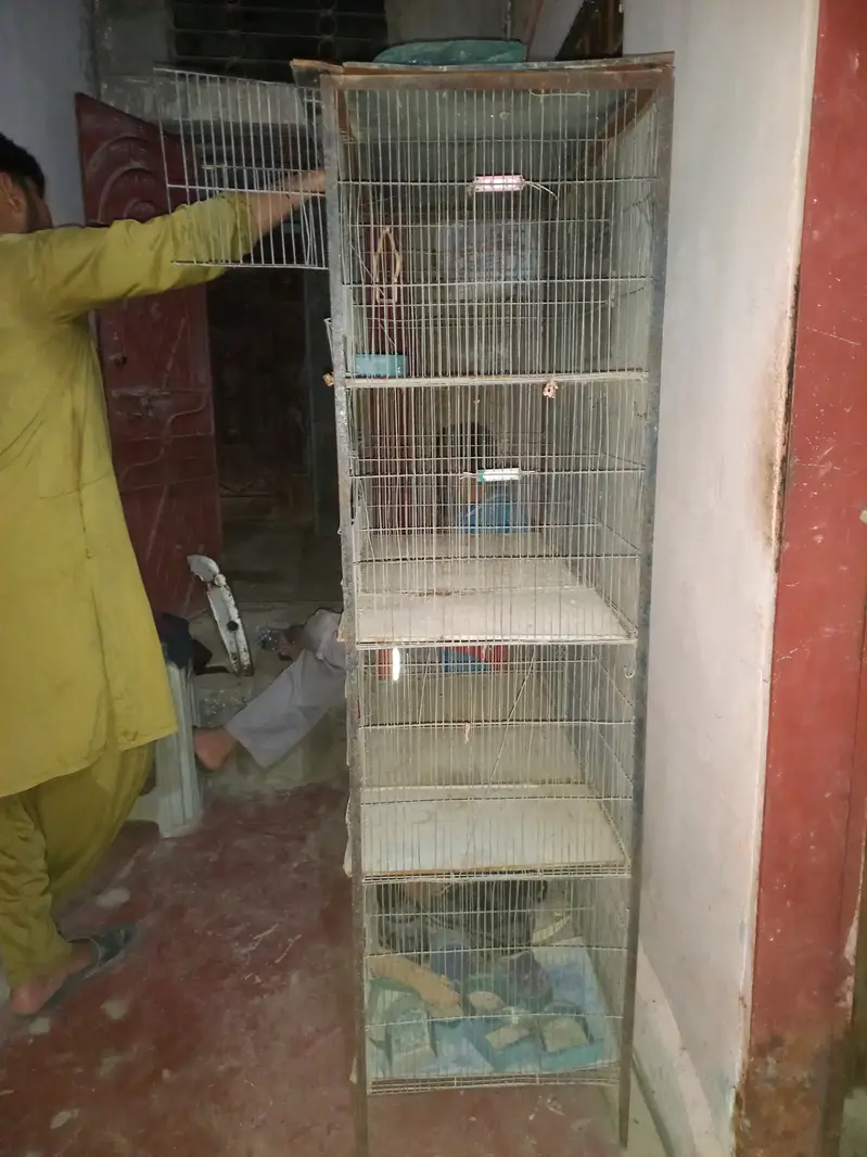 5 foot hight 4 foot length all ok he paison ki urgent cell 03116654785 — photo 2