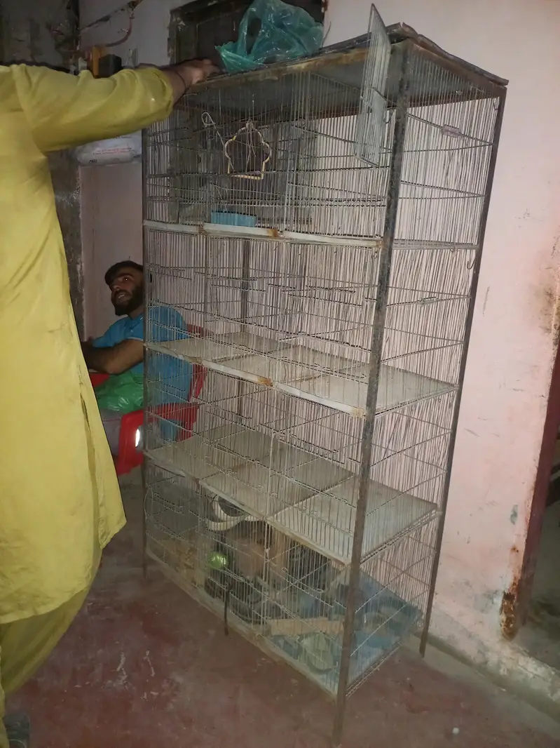 5 foot hight 4 foot length all ok he paison ki urgent cell 03116654785 — photo 3