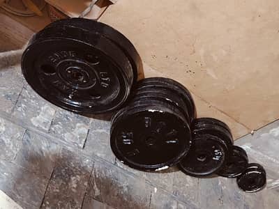 Weight plates and Dumble