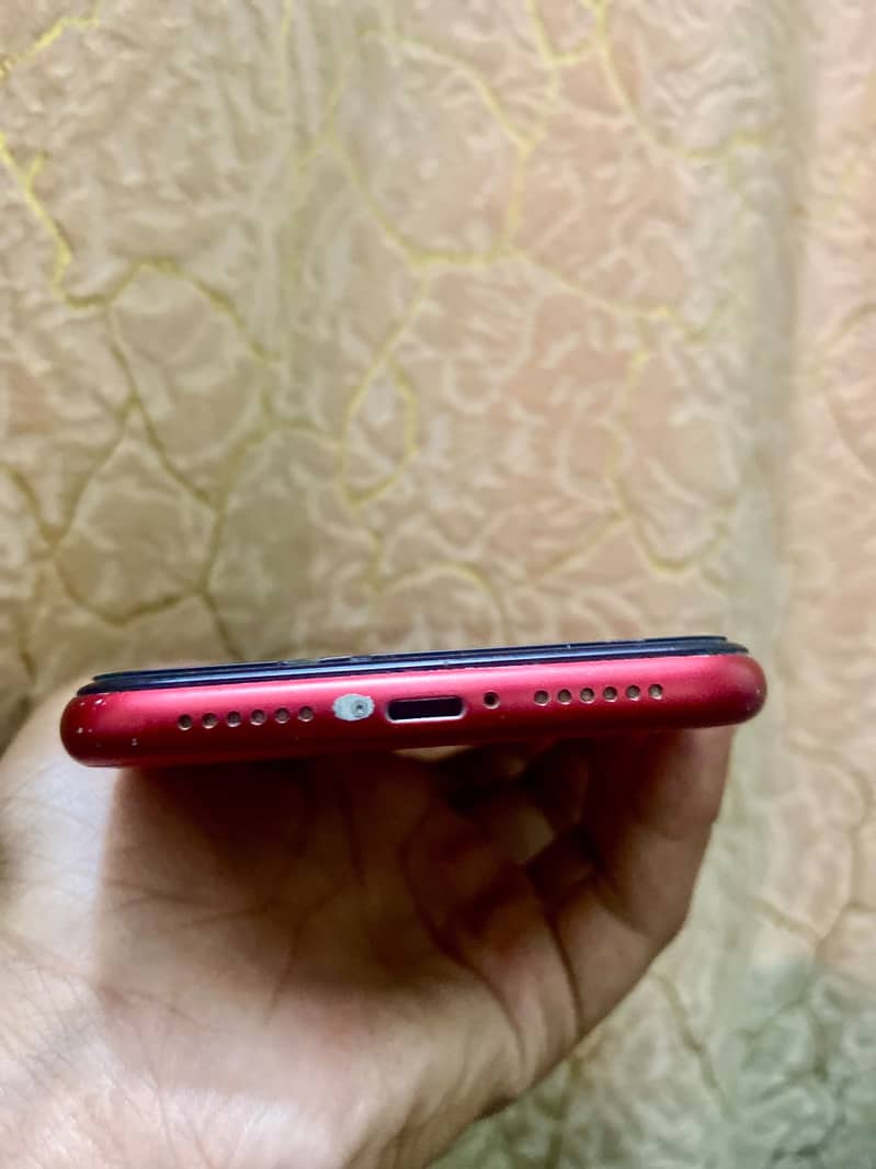 Apple iPhone 11 3