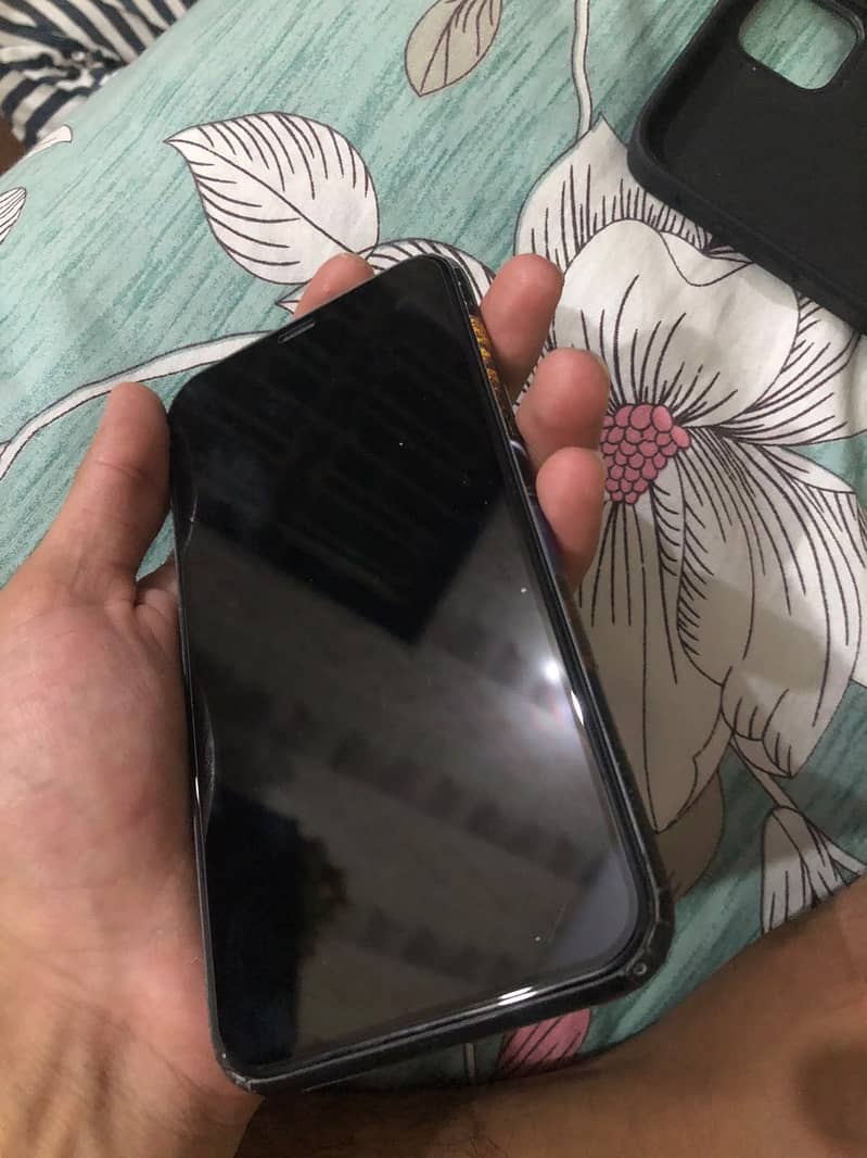 Apple iPhone 11 0