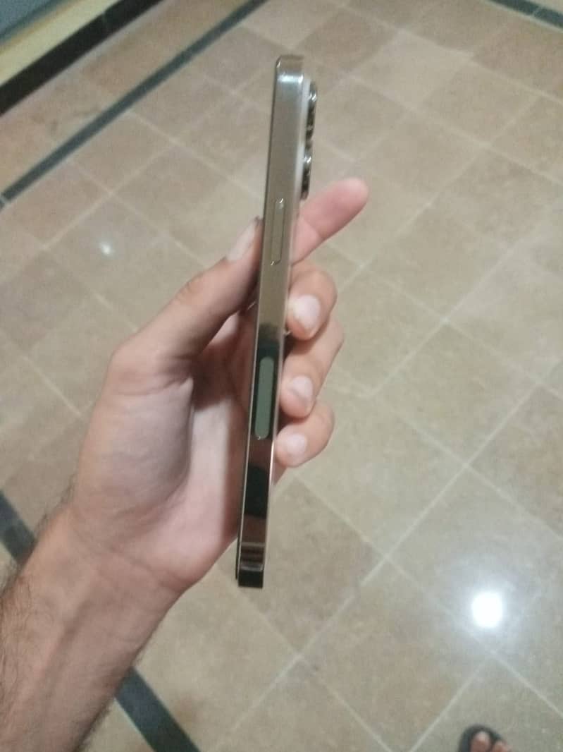 Apple iPhone 14 Pro Max 1