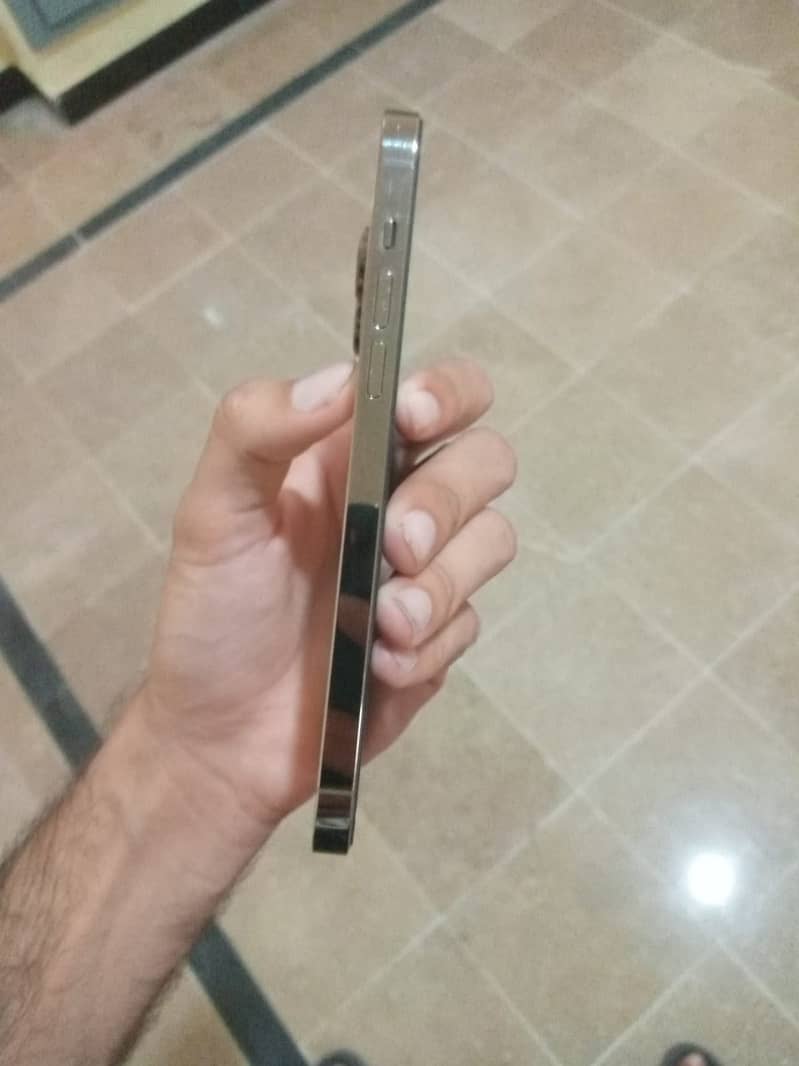 Apple iPhone 14 Pro Max 2