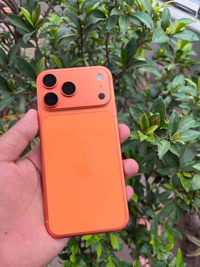 Apple iPhone 17 Pro Max