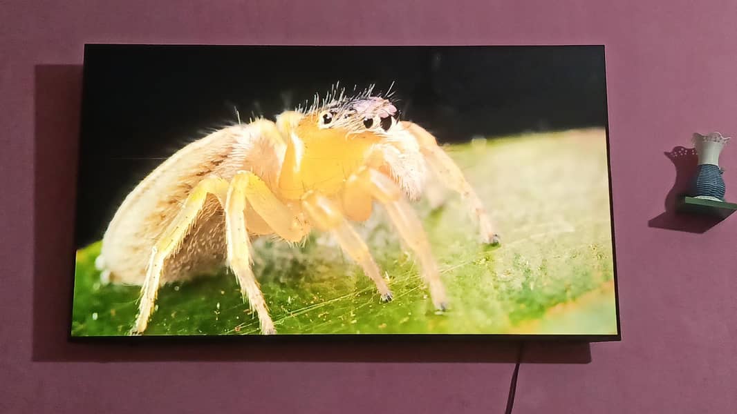 haier Android smart tv 1