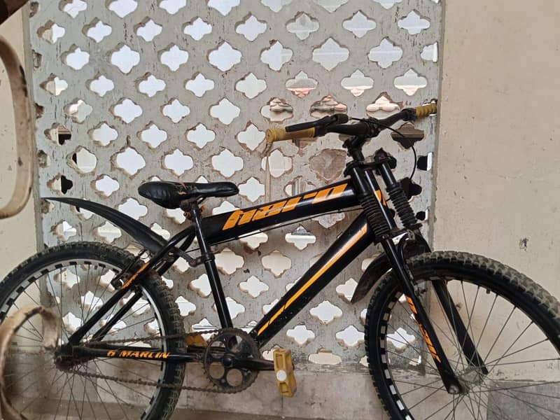 Bicycle 1