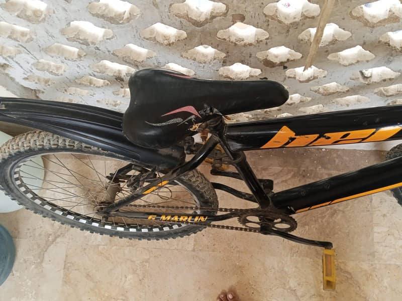 Bicycle 6