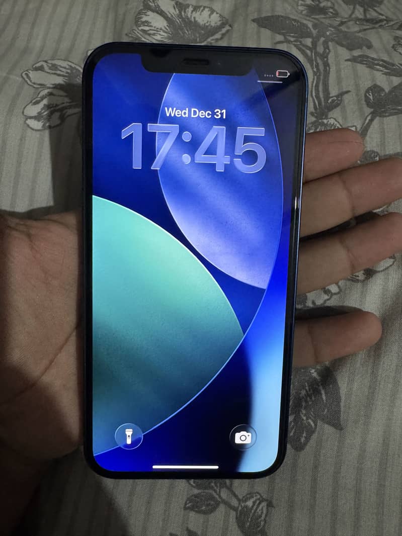 iPhone 12 1