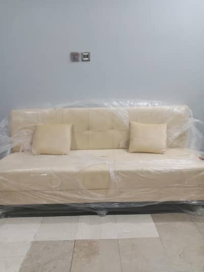 sofa cumbed with 2 cushions