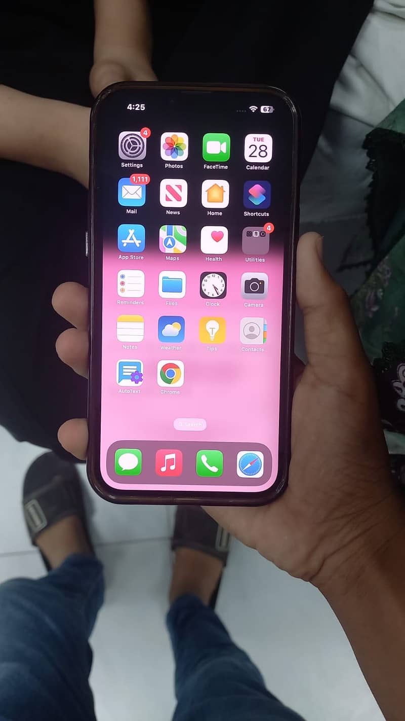 iPhone 13 Pro Max 1