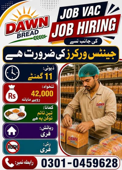 jobs provided