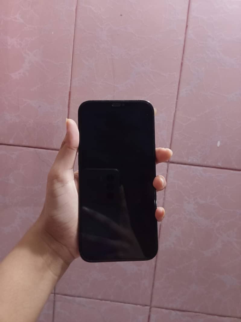 iPhone 12 Pro Max 2