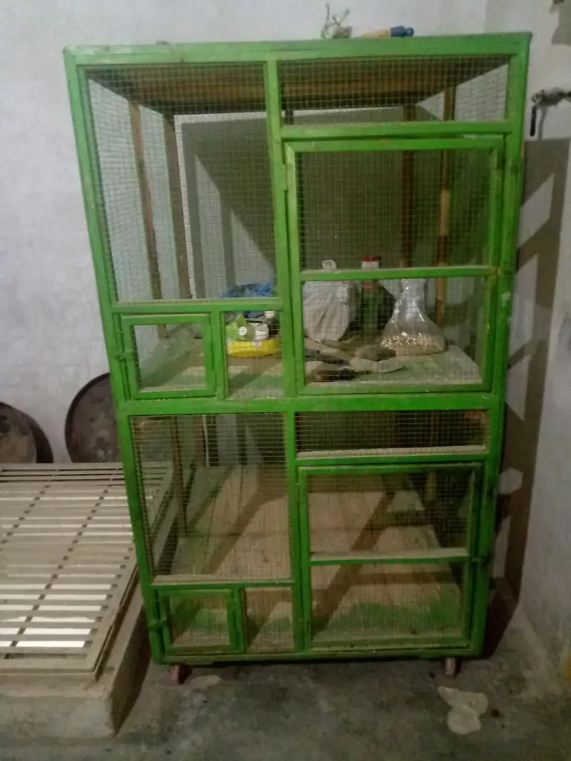 Caage — photo 2