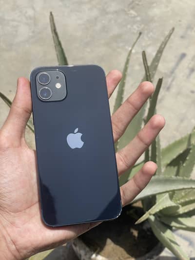 Apple iPhone 12