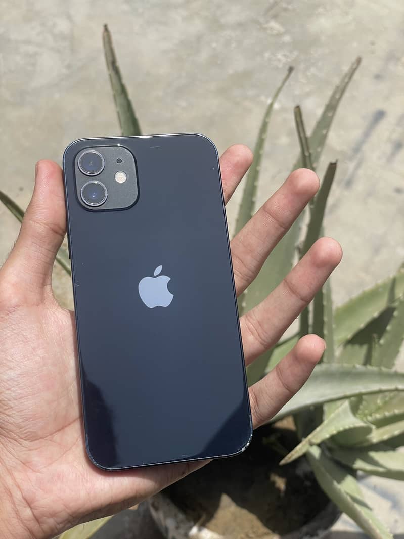 Apple iPhone 12 0