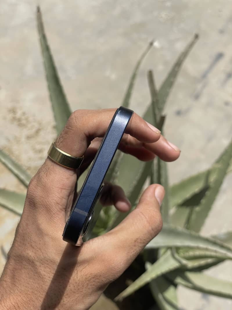 Apple iPhone 12 5