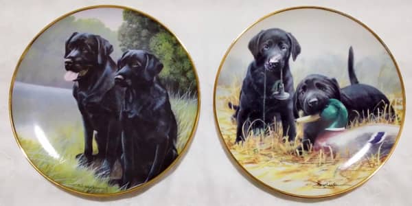decorations plate