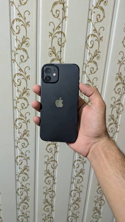 Apple iPhone 12  factory unlocked non active
