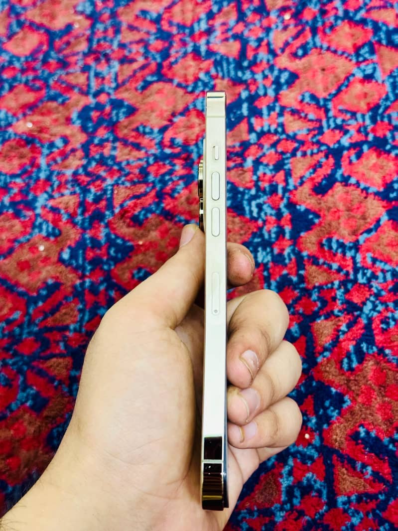 Apple iPhone 14 Pro Max 4