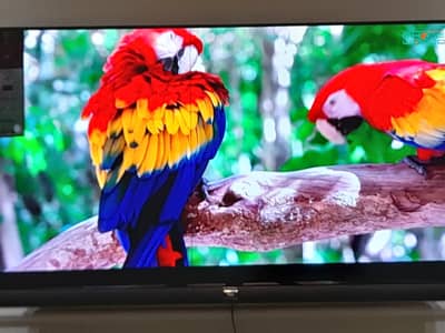 TCL C6 55inch Android