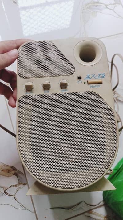 Multimedia speakers or Computer Speakers