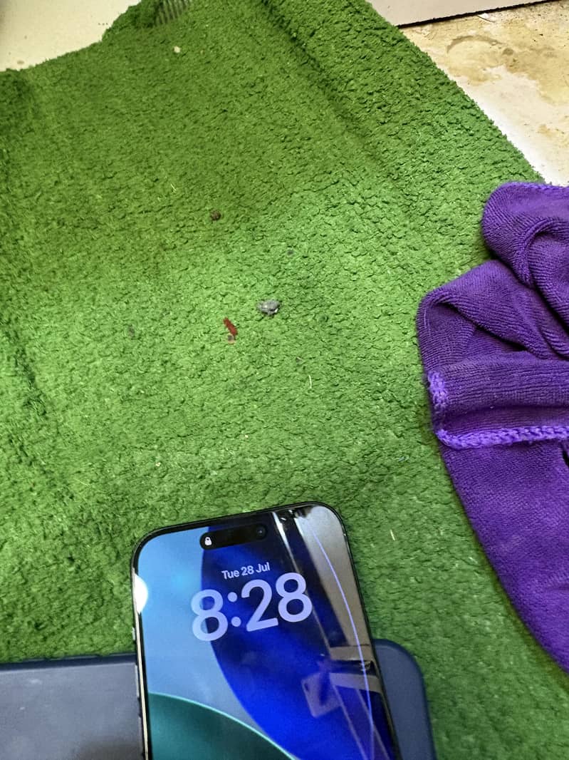 Apple iPhone 16 Plus 8