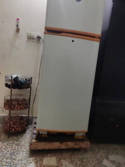 PEL Double Door Refrigerator – Fully Working Condition | Good Cooling