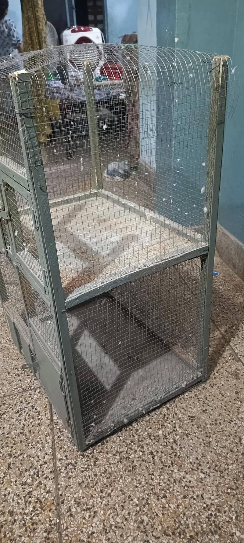 Cages 0