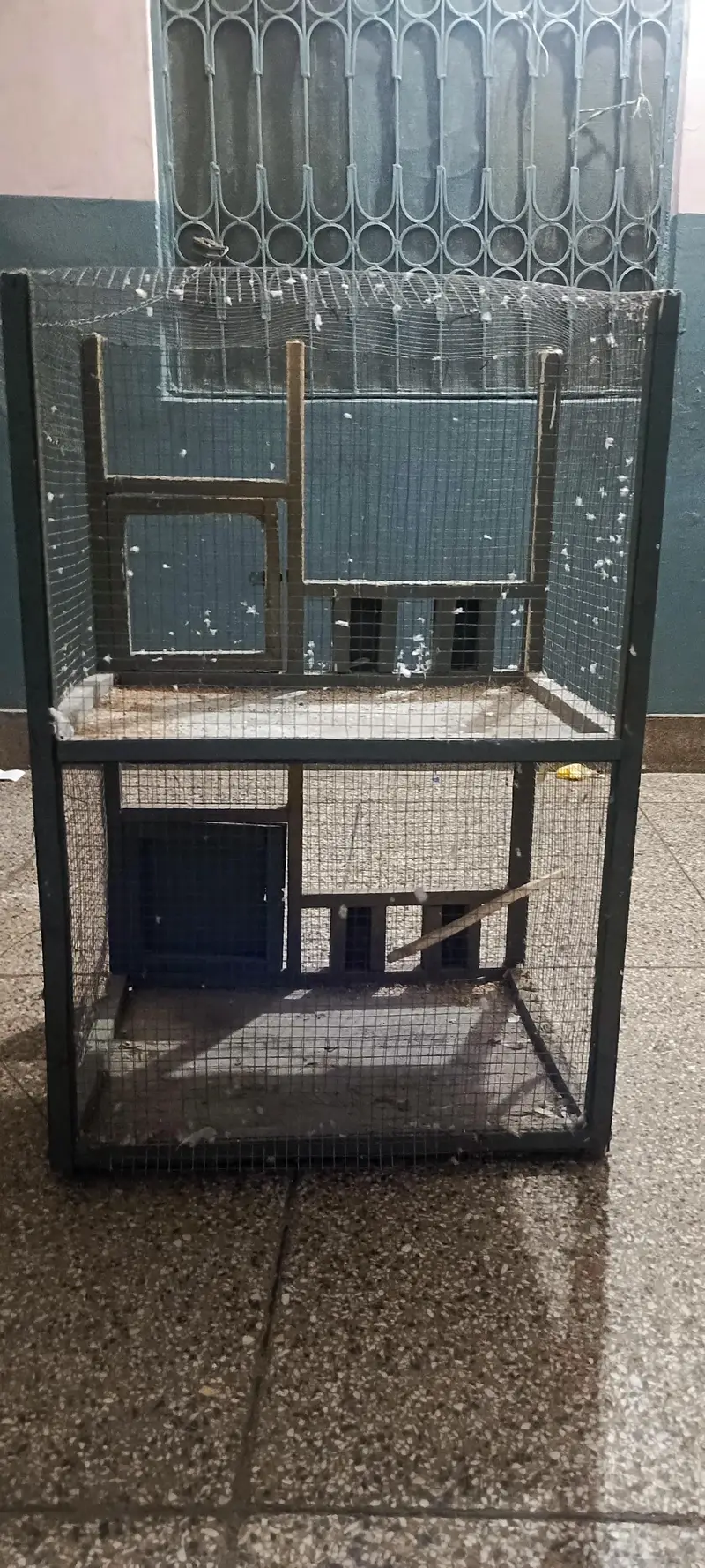 Cages — photo 2