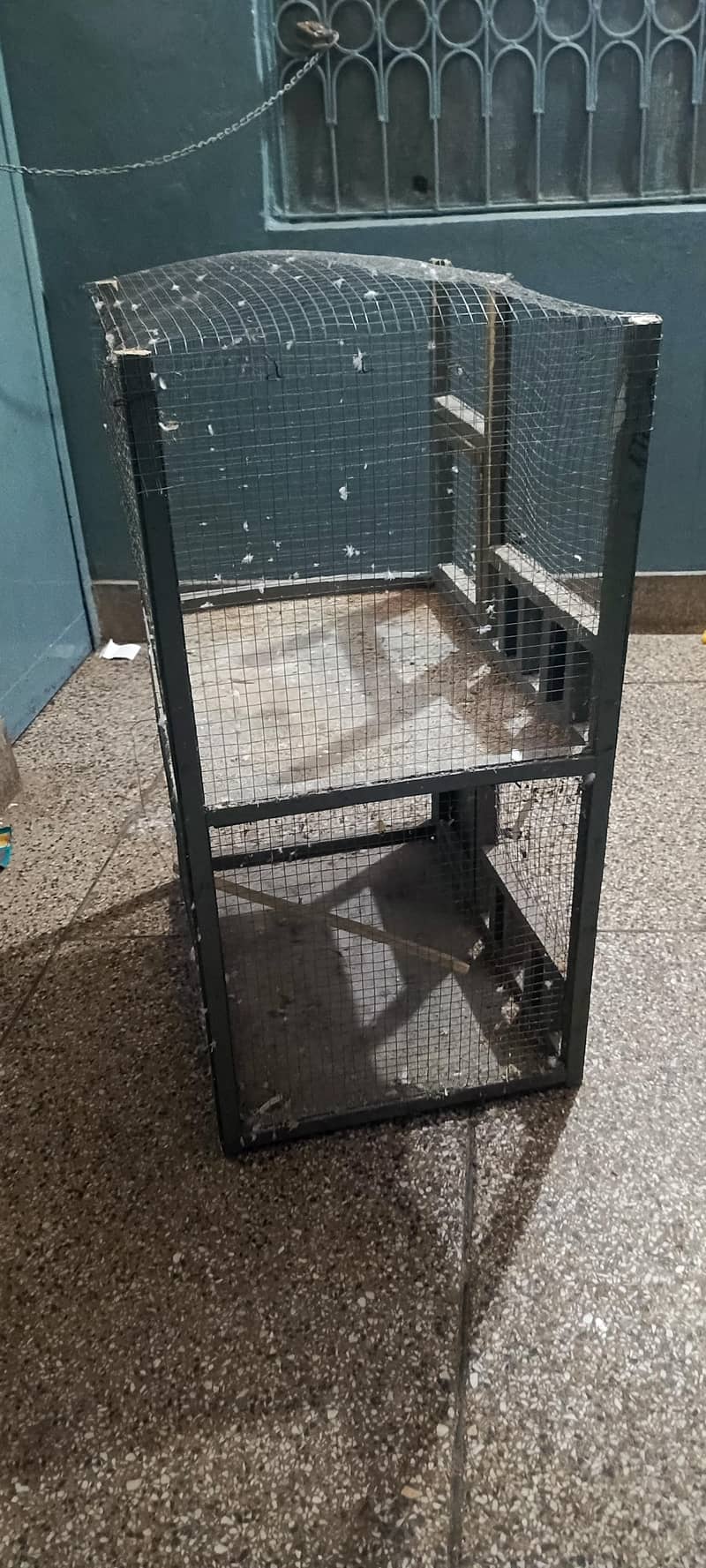 Cages 3