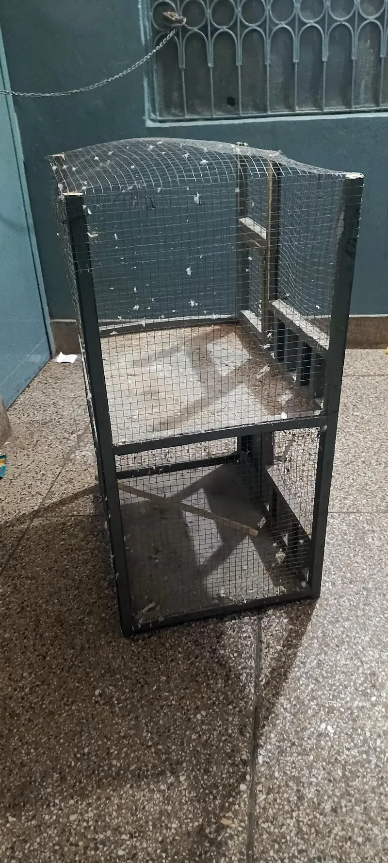 Cages — photo 4