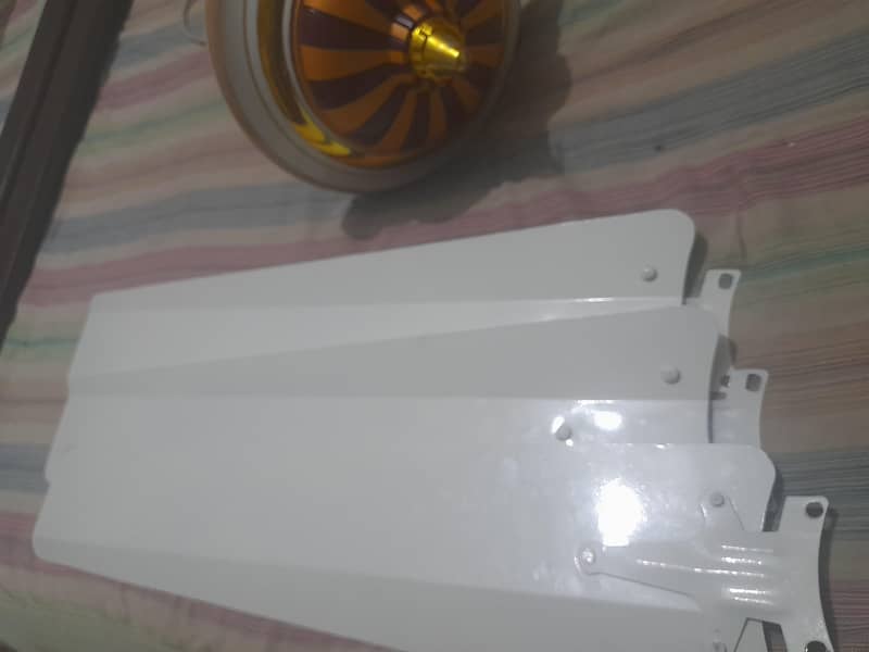 Ceiling Fan 1