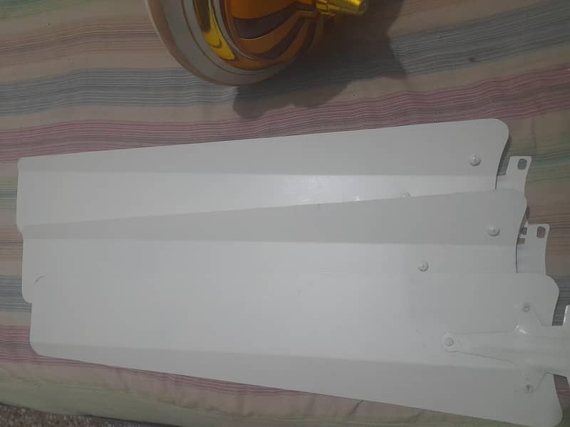 Ceiling Fan 2