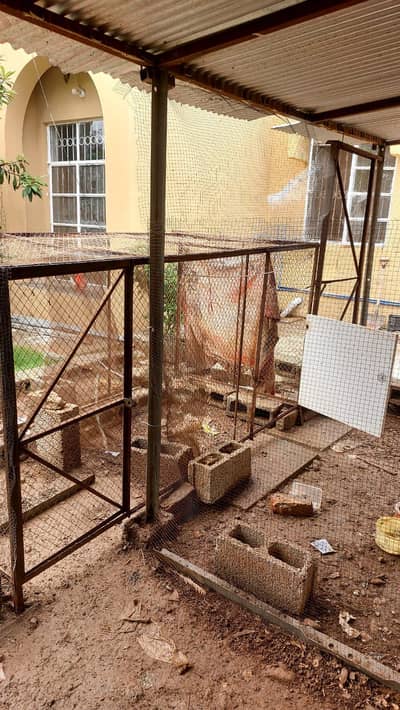 Beautiful Long Size Strong Heavy Cage for Hens