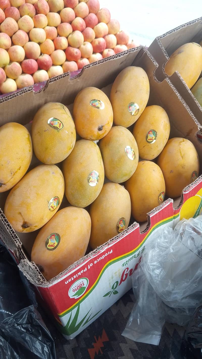 mango 0