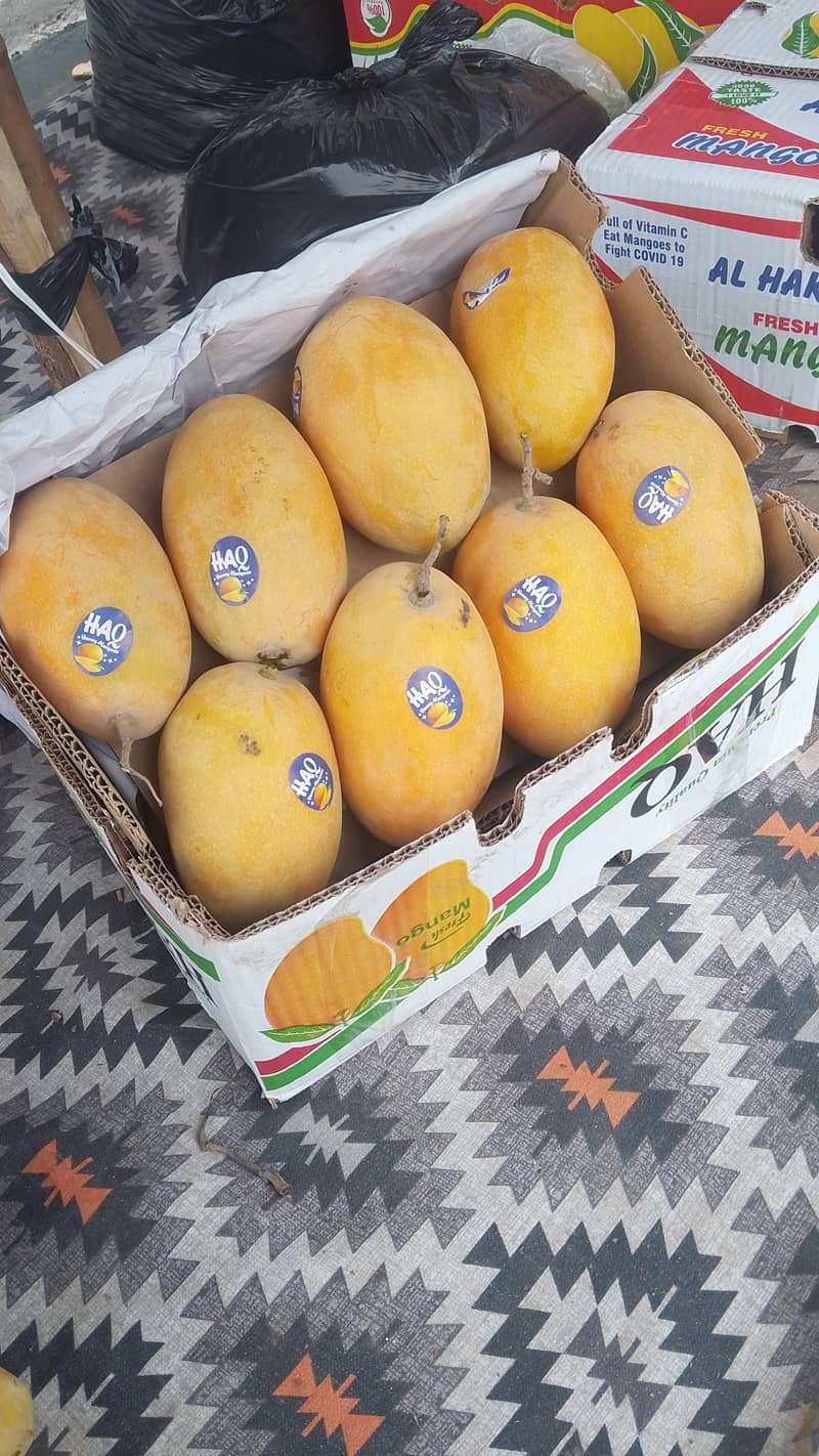 mango 1