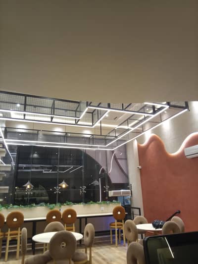required girls for international cat  cafe in dha phase 8
