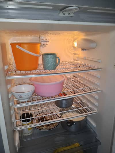 hairs fridge