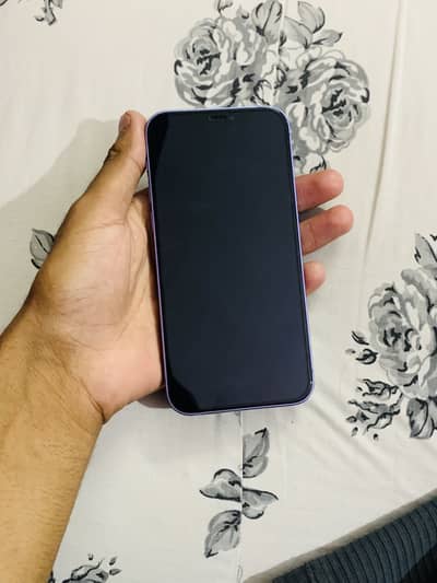 Apple iPhone 12