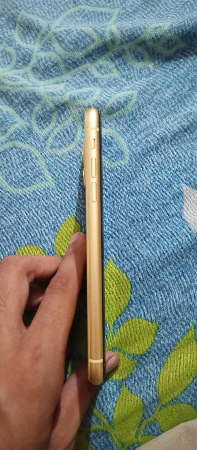 Apple iPhone 11 2