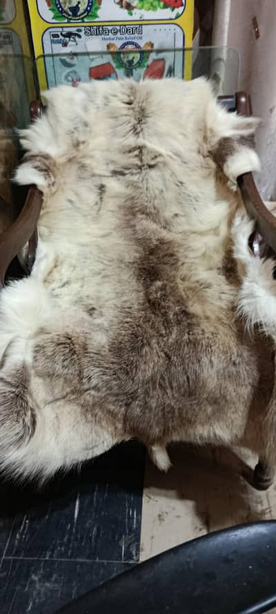 reindeer hide for decratio.