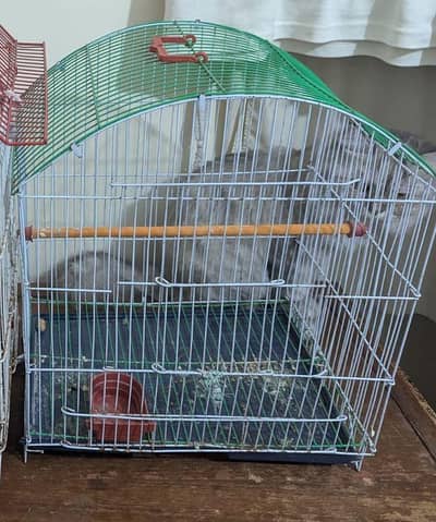 bird's cage