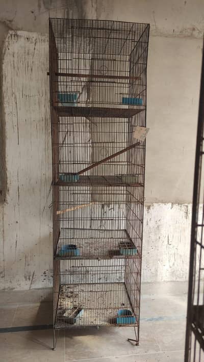 Bird Cages