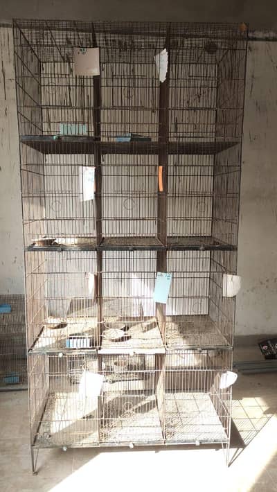 Bird Cages