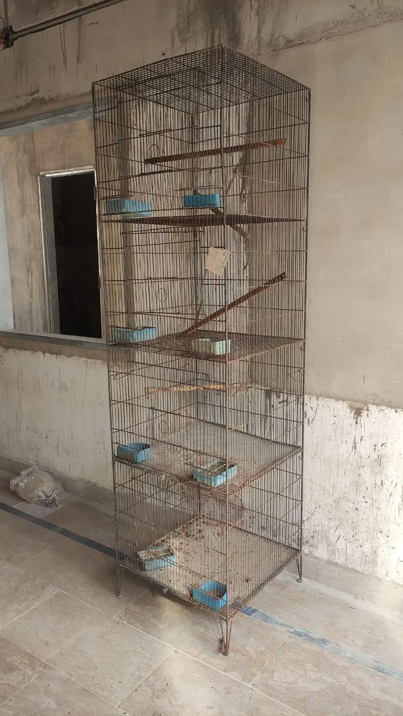 Bird Cages — photo 5